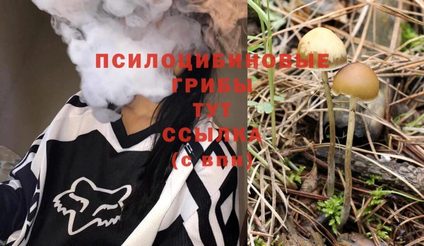 MDMA Заволжск