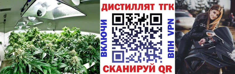 где купить наркоту  hydra ТОР  ТГК вейп  Нерехта 