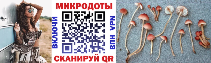 Псилоцибиновые грибы Magic Shrooms  Нерехта 